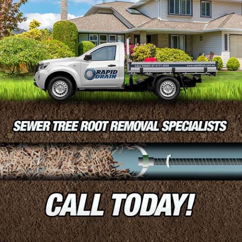 Sewer Tree Root Removal Specialists In Yeronga